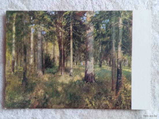 1952. Хаимов. Лесопарк в Подмосковье