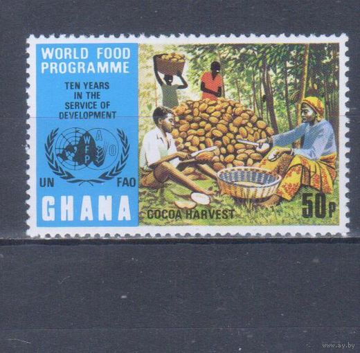 [441] Гана 1973. Флора.Какао.Плоды.Сбор урожая. MNH