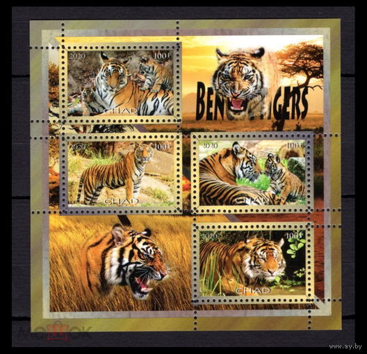 СЕРИЯ Блоков кошки собаки тигры  фауна  MNH