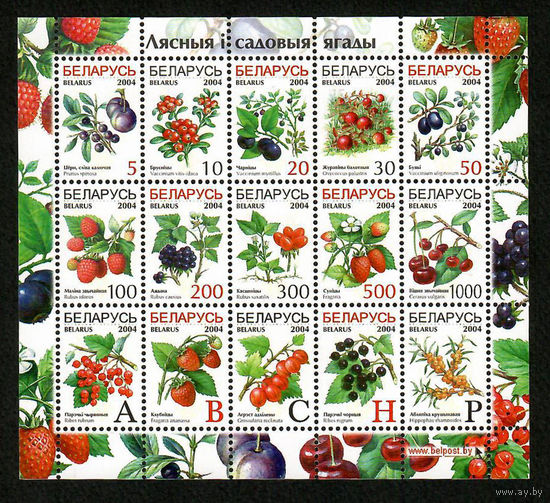 Беларусь. 2004. Стандарт. Лесные и садовые ягоды. Малый лист