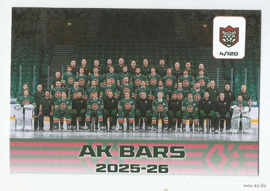 Команда 2025-26 / Коллекция "Ак Барс Казань 2025-206"