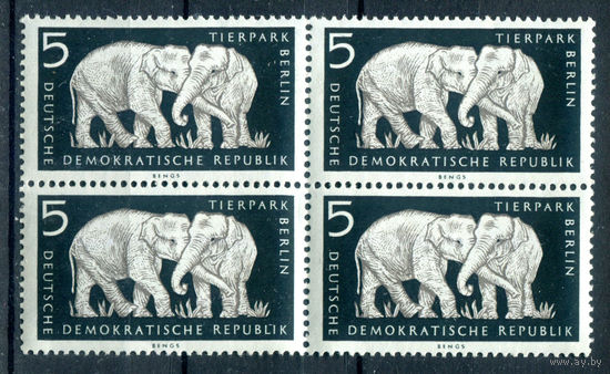 ГДР - 1956г. - Зоопарк в Берлине, слоны - 1 кварт - MNH [Mi 551]. #1-GG-24-KS-1