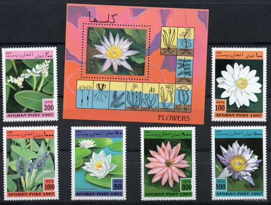 Афганистан 1997. Флора. Цветы. 6 марок+блок (1733)