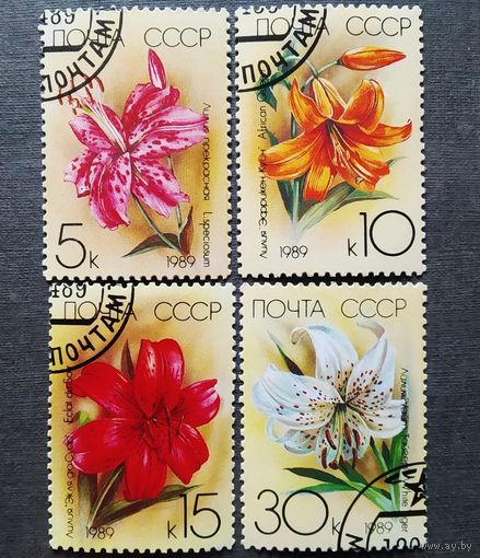 Марки СССР 1989 год Лилии