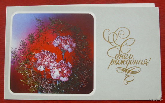 С днём рождения! Чистая. Двойная. 1989 года. Фото Зеленовой. *346.