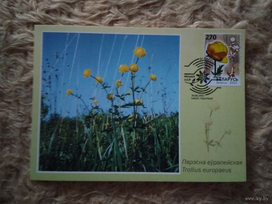 Беларусь. 2003. Картмаксимумы. Цветы. Серия