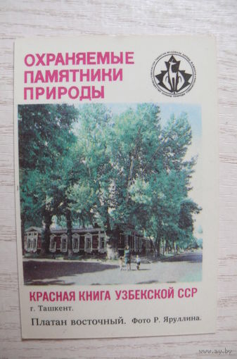 Календарик, 1987, Платан восточный. Красная Книга Узбекской ССР. Охраняемые памятники природы.