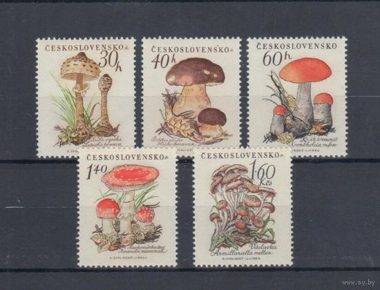 [1273] Чехословакия 1958. Грибы. СЕРИЯ MNH. Кат.30 е.