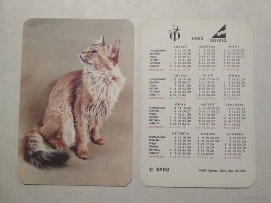 Карманный календарик. Котик.1993 год
