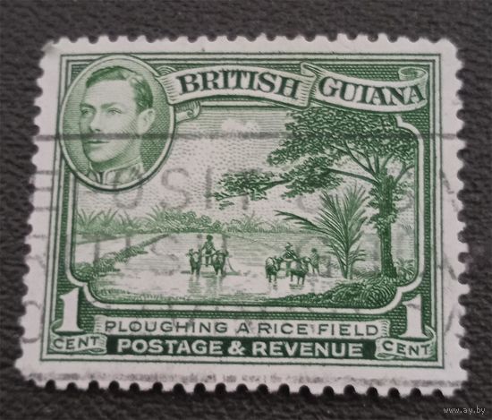 Лот 240 Британская Гвиана (1938) Король Георг VI и лоуальные сцены. Вспашка рисового поля GY176
