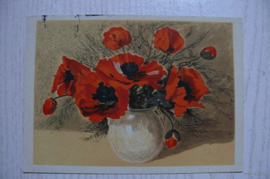 Купецио К., Маки, 1963, подписана.
