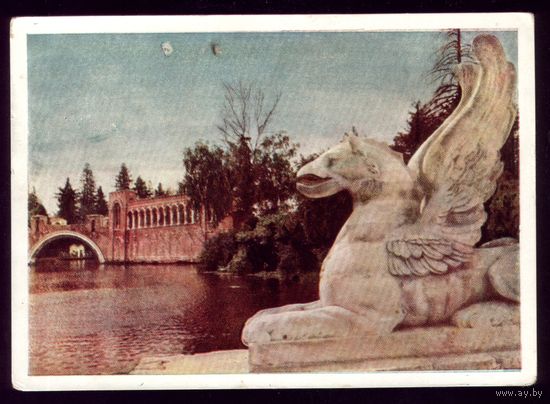 1959 год Марфино У пруда