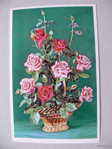 Открытка ГДР, Цветы (66), 1972, чистая.