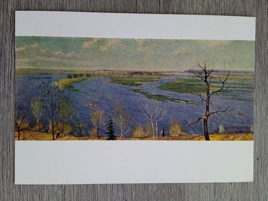 1958. Беларусь. Звиноградский. Сож. Большая вода