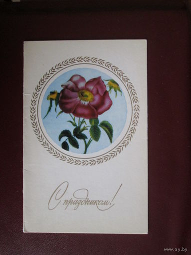 Почтовая карточка.СССР.1974гЧистая.