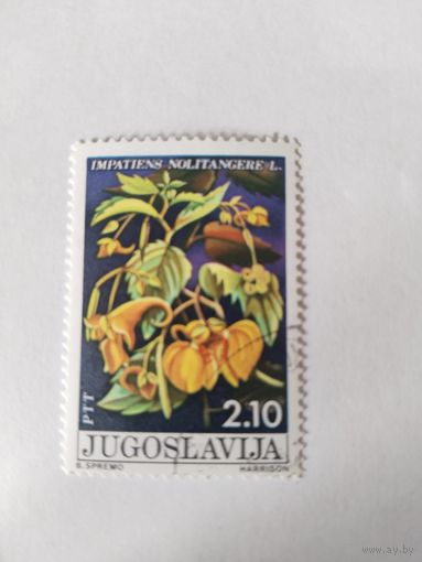 Югославия 1975   цветы