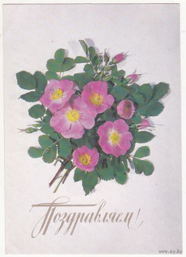 Открытка 1987 (2)
