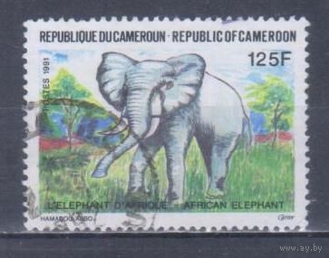 [2125] Камерун 1991. Фауна.Африканский слон. Гашеная марка.