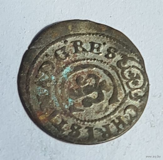 Красивый сосед