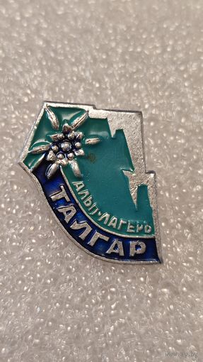 Знак значек Альплагерь Талгар Альпинизм Туризм,200 лотов с 1 рубля!!!