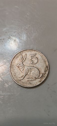 Зимбабве 5 цент 1990