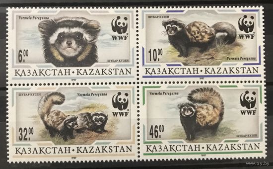1997 Мраморный хорек