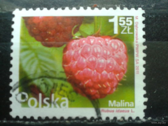 Польша, 2011, Стандарт, Малина