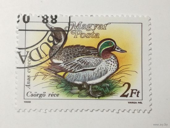 Венгрия 1988.  Утки.