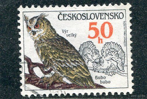Чехословакия. Фауна Совы
