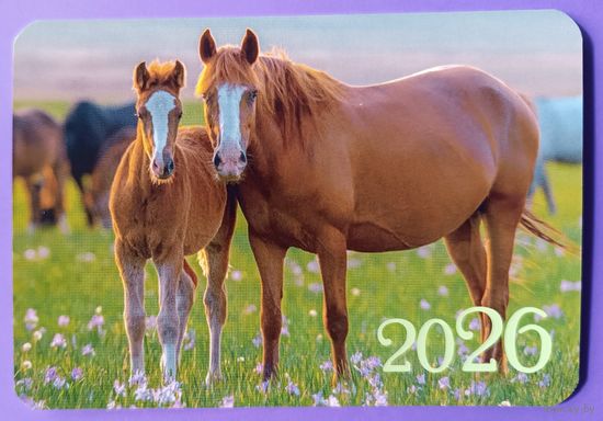 Лошади. Календарик, глянец, 2026. Траско