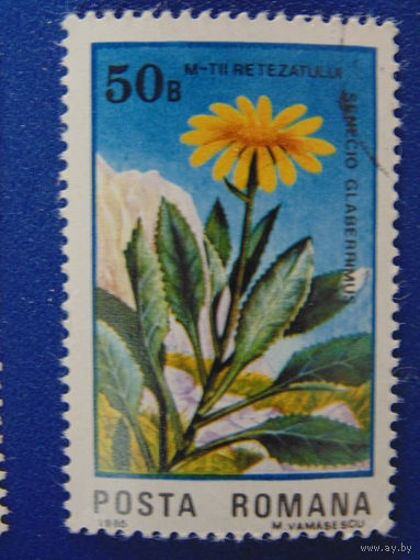 Румыния 1985 г. Цветы.