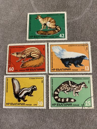 Болгария 1985. Мелкие хищники. Полная серия