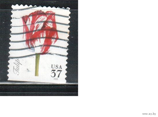 США-2005 (Мих.3919 BD) , гаш., Цветы,