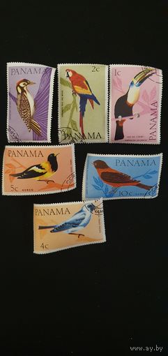 Панама птицы 6шт
