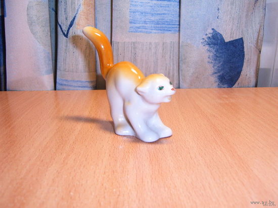 Кот.