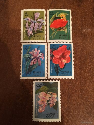 СССР 1971. Цветы. Флора. Полная серия