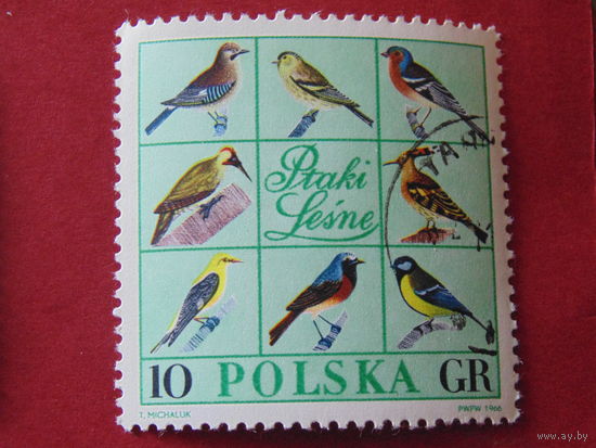 Польша 1966 год. Птицы.