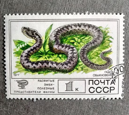 Марка СССР 1977 год Фауна