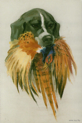 Открытка "Собаки"