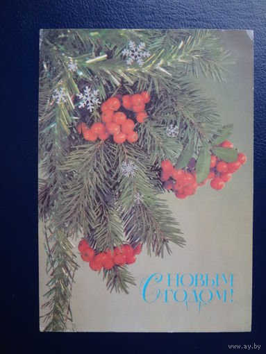 С Новым годом!  1987 г.  Рябина.  подписанная.