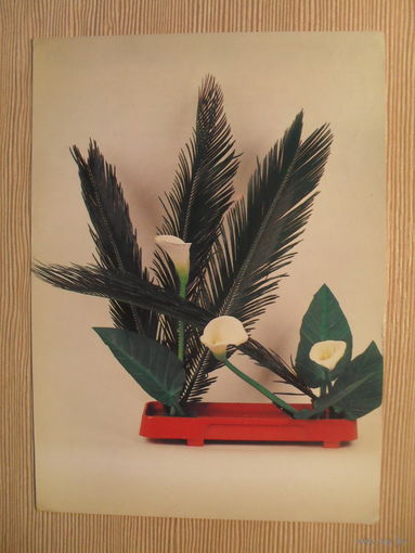 ПОДПИСАННАЯ ОТКРЫТКА. СССР. КОМПОЗИЦИЯ ИЗ ЦВЕТОВ. фото. Ю. ШАРОВА. 1983 г.