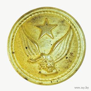 Чили ВВС Мундирная пуговица 40-50 гг XX века 25 мм Fab. CHILENA  E.PUGGENER R