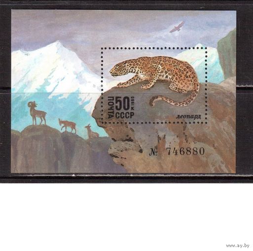 СССР-1985, (Заг.Бл.188) ** , Фауна