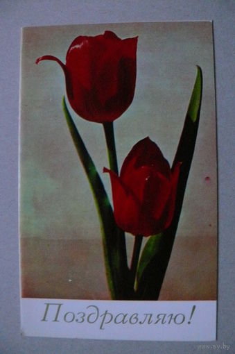 Шагин И.(фото), Поздравляю! 1970, двойная, подписана.