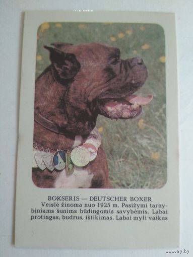 Карманный календарик. Боксёр. 1988 год