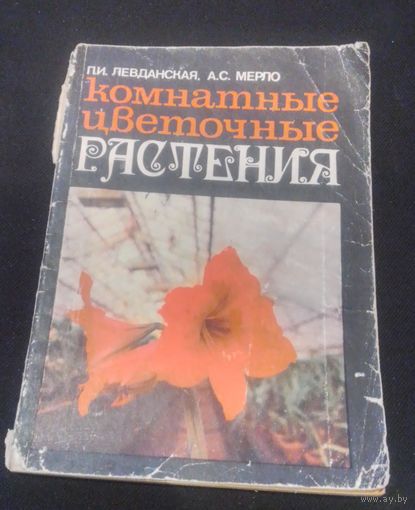 Комнатные цветочные растения.