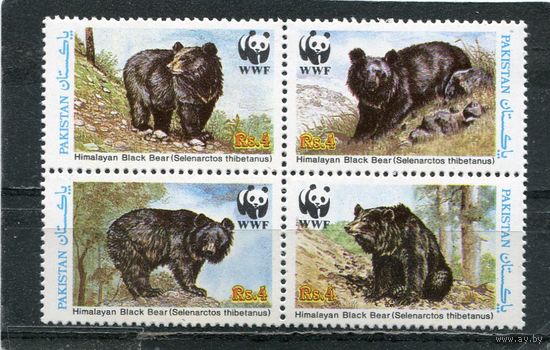 Пакистан. Фауна. Гималайский медведь. Квартблок