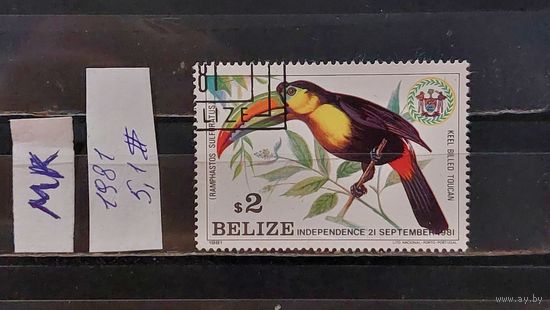 БЕЛИЗ 1981г. Гаш.
