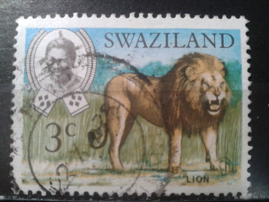 Свазиленд, 1969. Лев