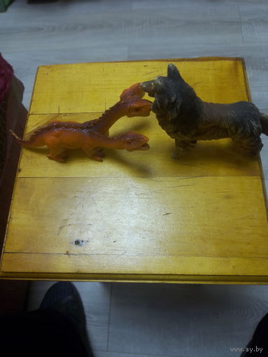 Собачка и чудо трехголовое.